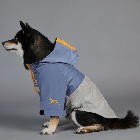 Paw Dream Trendy Windproof and Rainproof Dog Raincoat for Large Dogs, Pet Raincoat