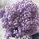 Imported gypsophila dried flower bouquet extra large pink blue natural real flowers home furnishings living room decorative flowers flowers