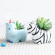 Creative personality cute cartoon small animal shape succulent flower pot indoor balcony micro landscape succulent plant potted plant