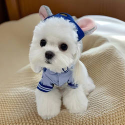 Cute Pet Cats and Dogs Transform into Bunny Police Officers in Four-Season Cosplay Shirts for Small and Medium-Sized Dogs and Cats