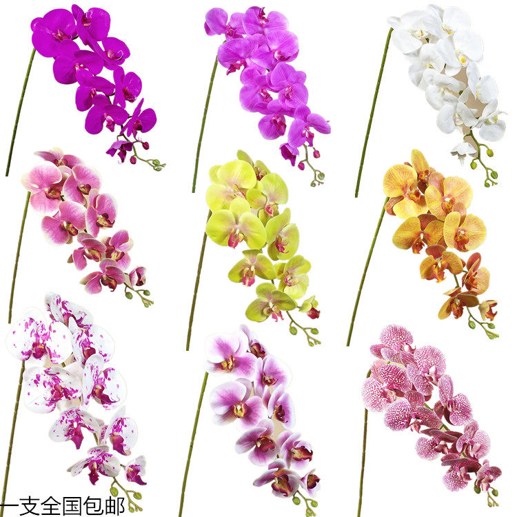 Simulation flower Phalaenopsis pu feel glue single dry flower decoration fake flower living room table decoration orchid