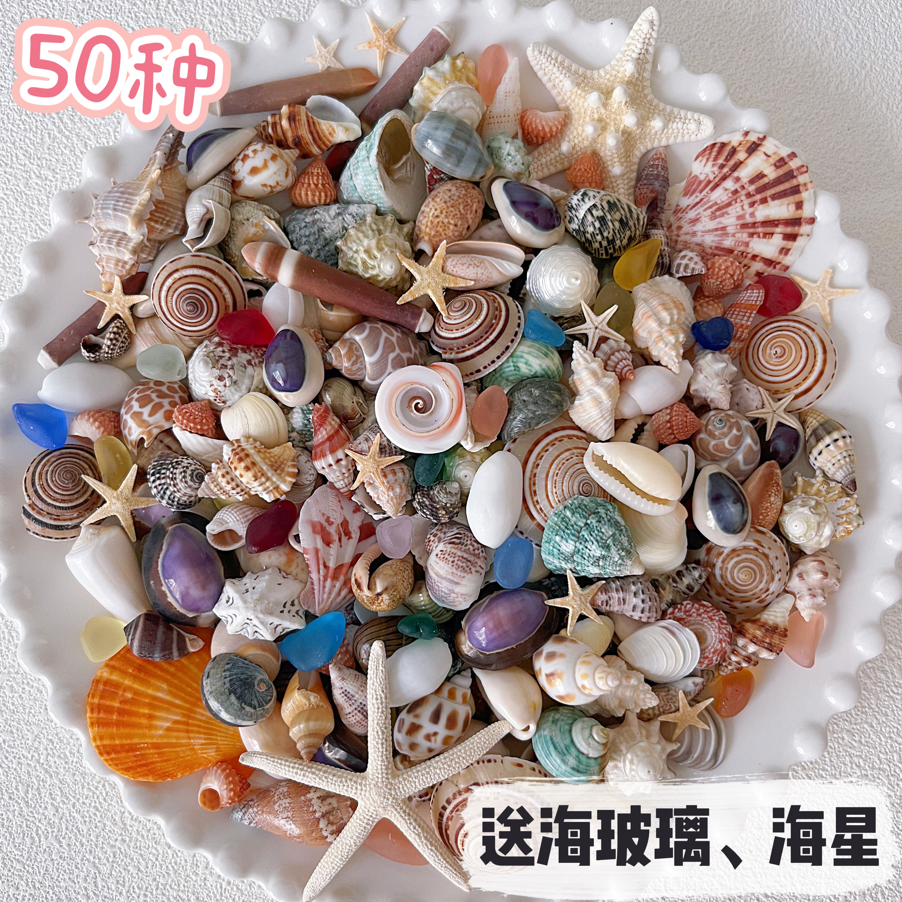 DIY貝殻フォトフレーム、ドリフトボトル素材、水槽のレイアウトギフト用の天然の小さな貝殻とヒトデの混合素材