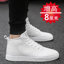 Increased 8cm single shoes Korean version of the trend increased trendy shoes Joker boys small white shoes increased Sports Leisure board shoes