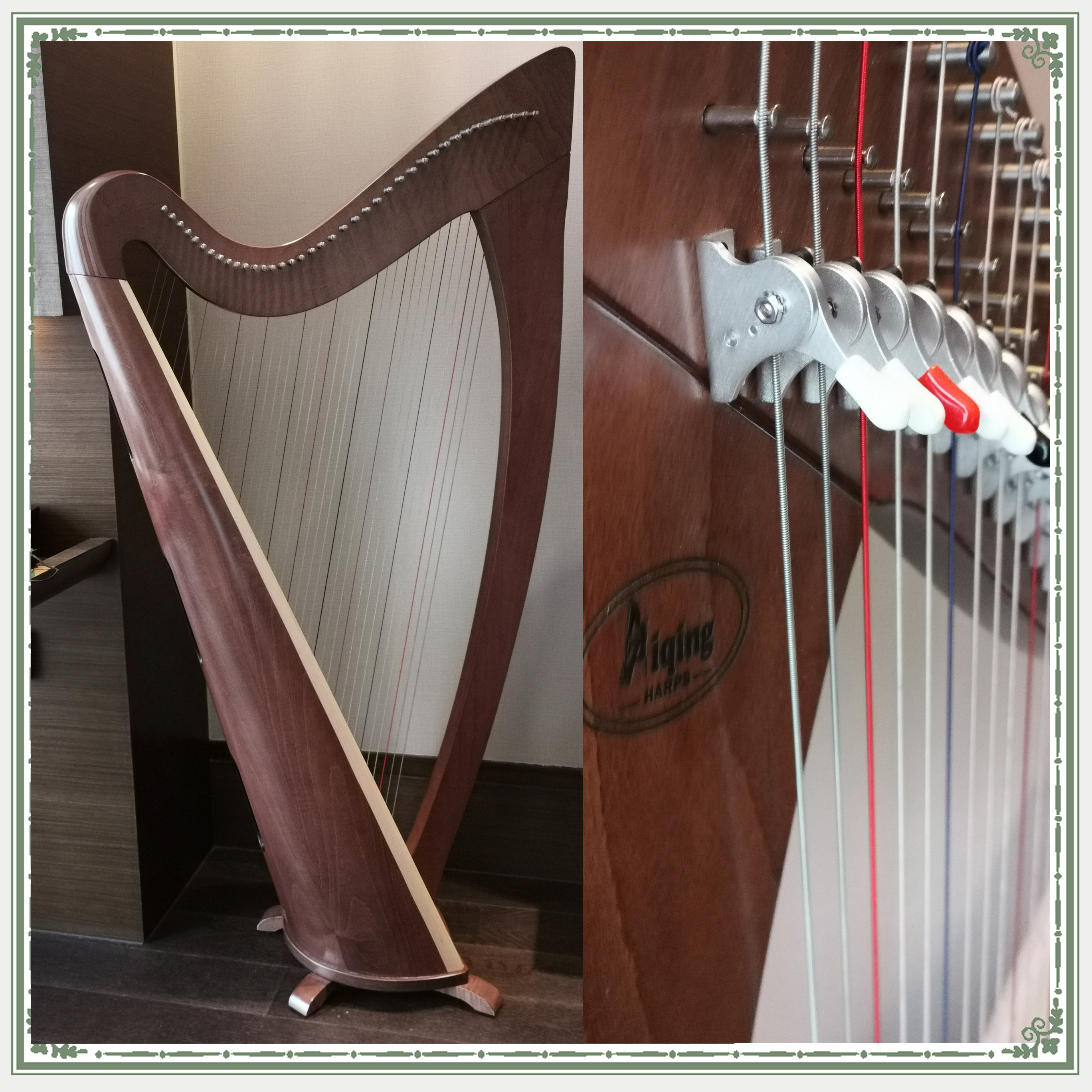(WILD HARP) AIQING 38 strings harp (tulip) Celtic Irish instrument