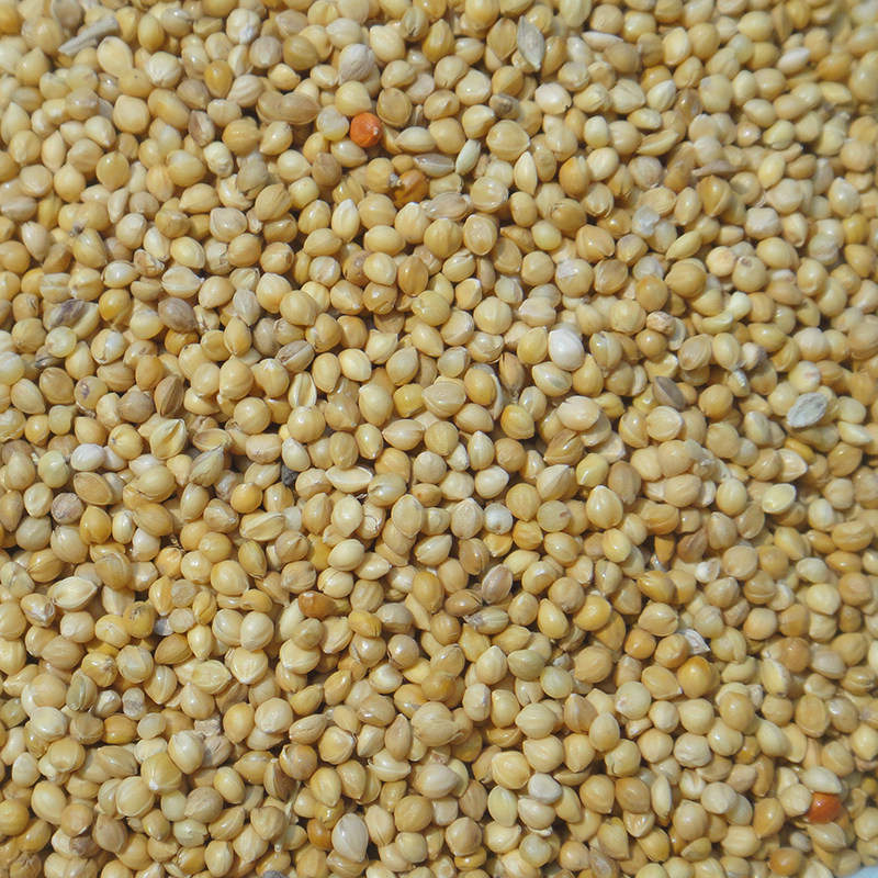 Shell millet tiger skin peony xuanfeng bird parrot bird food yellow millet bird food bird feed 5kg