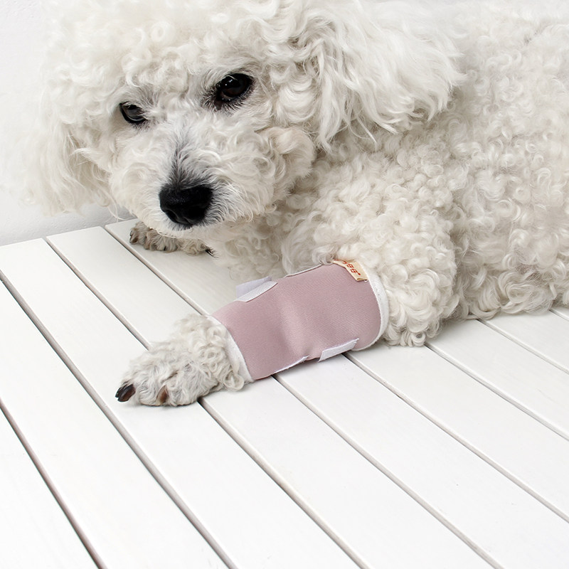 Dog knee pads shin pads pet outdoor arthritis golden retriever surgery injury anti-licking restraint activity foot pads