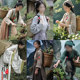 Ancient costume of tea-picking girl among ancient medical girls