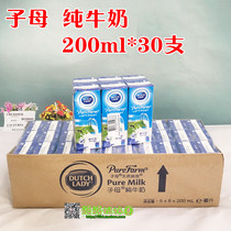 Special Guangdong Hong Kong milk natural pure milk 30 * 200ml imported mother milk