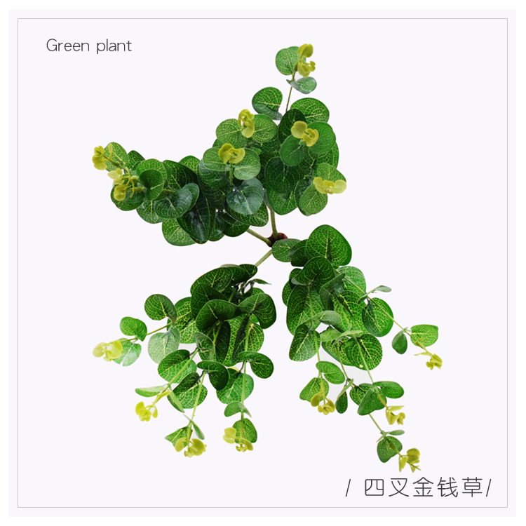 Mô phỏng tường phụ kiện cây xanh phụ kiện tường cây cỏ Ba Tư treo tường trong nhà lưới đỏ nền tường trang trí xanh - Hoa nhân tạo / Cây / Trái cây Ý tưởng từ khóa
