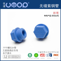 ppr wire plug hot melt plastic wire plug 20 four pipe fittings 25 six taps 32 one inch tap water pipe