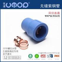 Diameter through home decoration ppr size head hot melt plastic water pipe fittings copper household tap water pipe joints