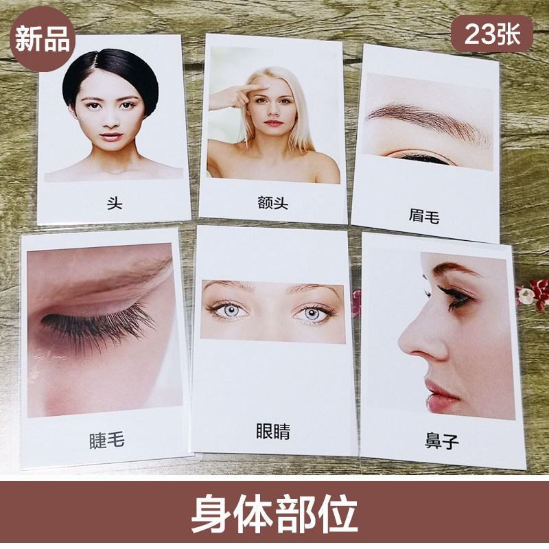 Body Parts training cards Autism training cards Children's ABA teaching aids Language stunting