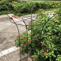 Epiphan shelf bracket fixed clematis green Diola bracket living room crab claw orchid bracket fixing frame flower