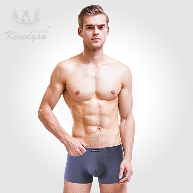 Jin Di Shi 4 hộp quà tặng modal nam boxer tóm tắt cotton thanh niên đồ lót nam quần lót dây nam