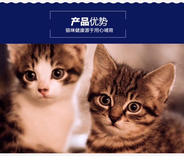 Thức ăn cho mèo Odin 10kg Thịt cá đại dương Pet Pet Mèo Thức ăn cho mèo - Cat Staples