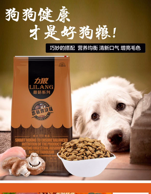 Power Wolf Dog Thức ăn cho chó trưởng thành 10kg Boutique Power Wolf Mushroom Chicken Nuggets Dog cỡ trung bình Thức ăn cho chó trưởng thành 10kg Thức ăn cho chó Bianmu - Chó Staples