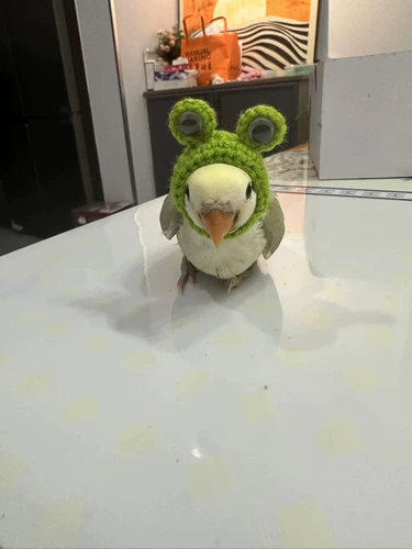 Шапка, шерстяной трикотажный крючок для вязания, аксессуар для волос, шлем