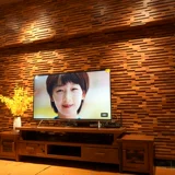 Дракон и Феникс Троян зарегистрировал Троян Великую стену Великую стену клятвым телевизионные лабораторные лабораторные