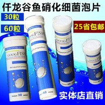 Singapore Qianlong GOOGFISH Valley fish nitrifying bacteria bubble sheet (light seawater General 30 60 tablets)