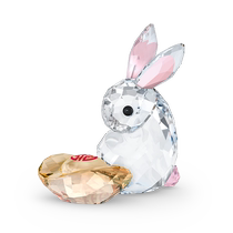 (Chinese Valentines Day gift) Swarovski Asian Symbols rabbit ornaments zodiac new Chinese style Chinese style