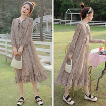 Pregnant women chiffon skirt spring new dress tide mother foreign air floral long skirt early spring base skirt spring and autumn maternity dress
