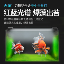 Jiyin aquatic grass lamp fish tank LED lamp explosion algae lamp professional waterproof fish cylinder lamp lighting goldfish tank mossy fish lamp