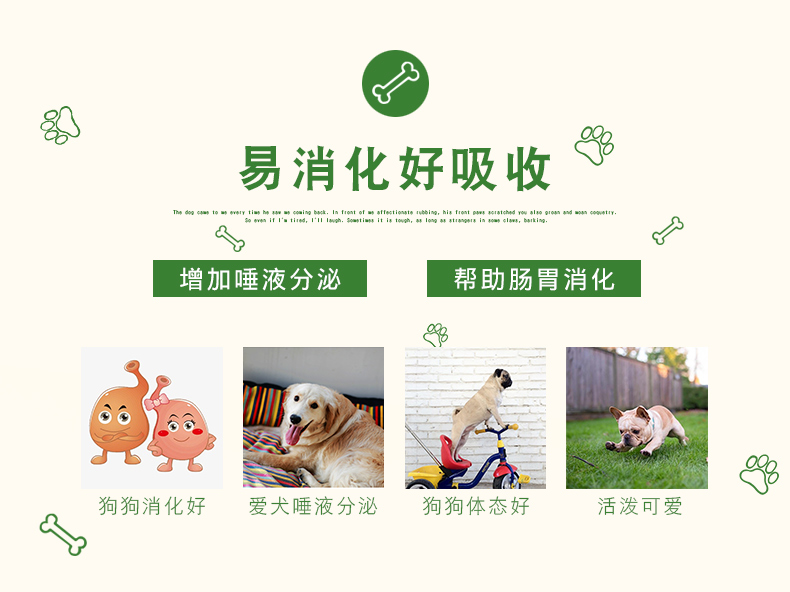 Maoyuan thanh rau tự nhiên 100 gậy thú cưng chó ăn vặt mol thanh khử mùi sạch răng xương sữa nhai - Đồ ăn vặt cho chó Bánh cho chó ăn