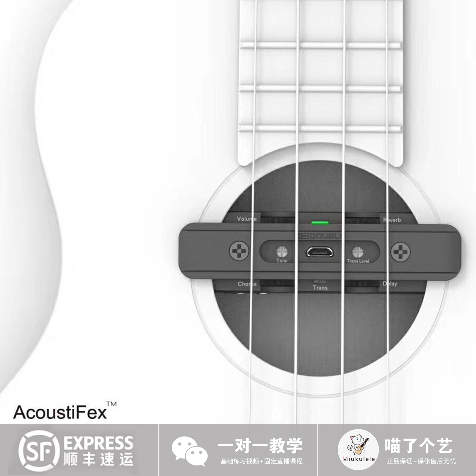 An art DOUBLE Yukori U0 plus a shock pickup sound-hole resonant mixer for delayed performance