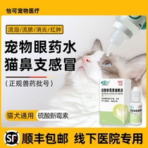 Cats nose cat eye potion to tear marks eye anti - inflammation cat sneezes with eye drop cold herpes virus