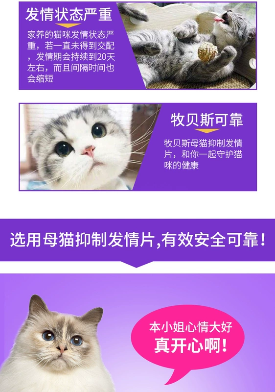 Mèo ức chế bột Nữ Mèo Cấm Estrus Bột ức chế đặc biệt Nam Cat Loose Powder Cấm con chó đực Estrus - Cat / Dog Health bổ sung
