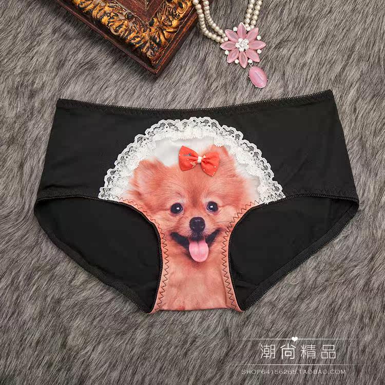 Slip jeunesse en coton - Ref 641847 Image 22