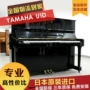 Nhật Bản nhập khẩu đàn piano cũ Yamaha YAMAHA U1D U1G U1E - dương cầm 	giá 1 chiếc đàn piano	
