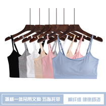 Pure cotton non-rimmed bra one-piece with chest pad small camisole breast bandeau womens sports underwear women gather