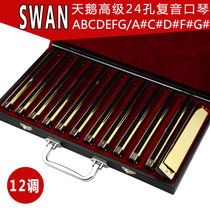 Swan harmonica set 12 tones 24 holes polyphonic harmonica students adult practice professional playing Golden harmonica instruments