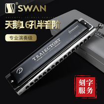 Swan Dreamcatcher Haliton Harmonica 16 holes 64 sound Beginning Adult Advanced Professional Stage Competition Performance Promotion