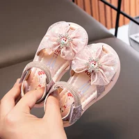 2010 Айша Пинк