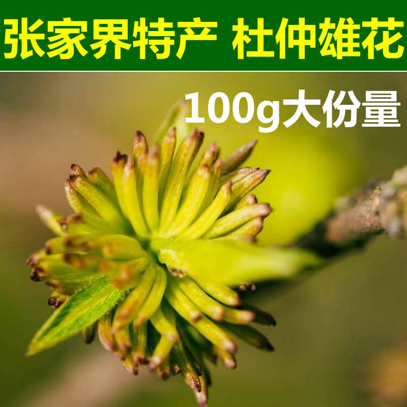 Zhangjiajie specialty Eucommia male flower tea wild premium pure male flower male health eight treasures tea Eucommia tea