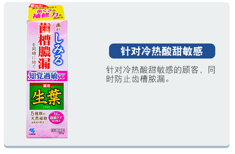 【日本直郵】日本KOBAYASHI 小林製藥 生葉天然植物牙膏 有效防止牙周炎 清新口氣 黃色裝 100g