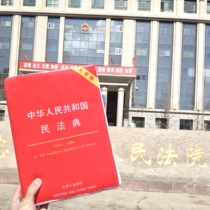 民法典书形抱枕玩偶送律师法学生礼品法学周边生日礼物法律人