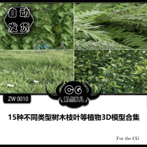 ZW0010 15 different types of tree branches and leaves and other plants 3D model collection
