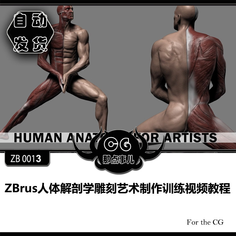 ZB0013 ZBrus Human Anatomy Sculpting Art Production Training Video Tutorial