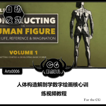 Arts0006 Human Body Anatomy Digital Painting Core Training Video Tutorial