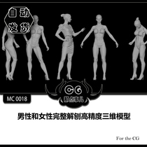  MC0019 High-precision scanning female posture model (including T POSE)