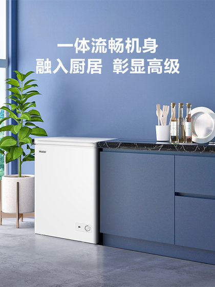海尔100/142/200升冰柜家用冷冻冰柜节能减霜冷柜单温冷藏小冰箱