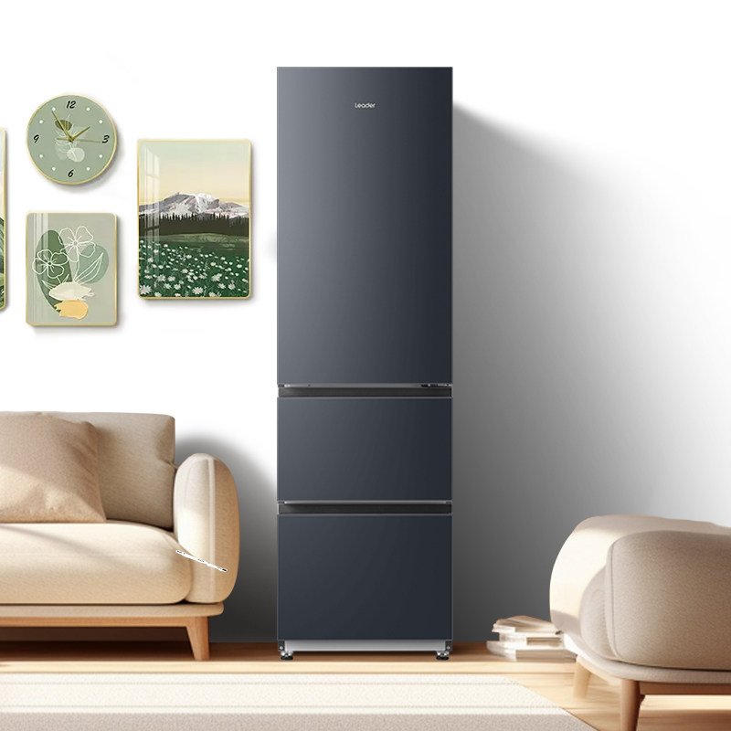 海尔LD3-320WBX冰箱图片