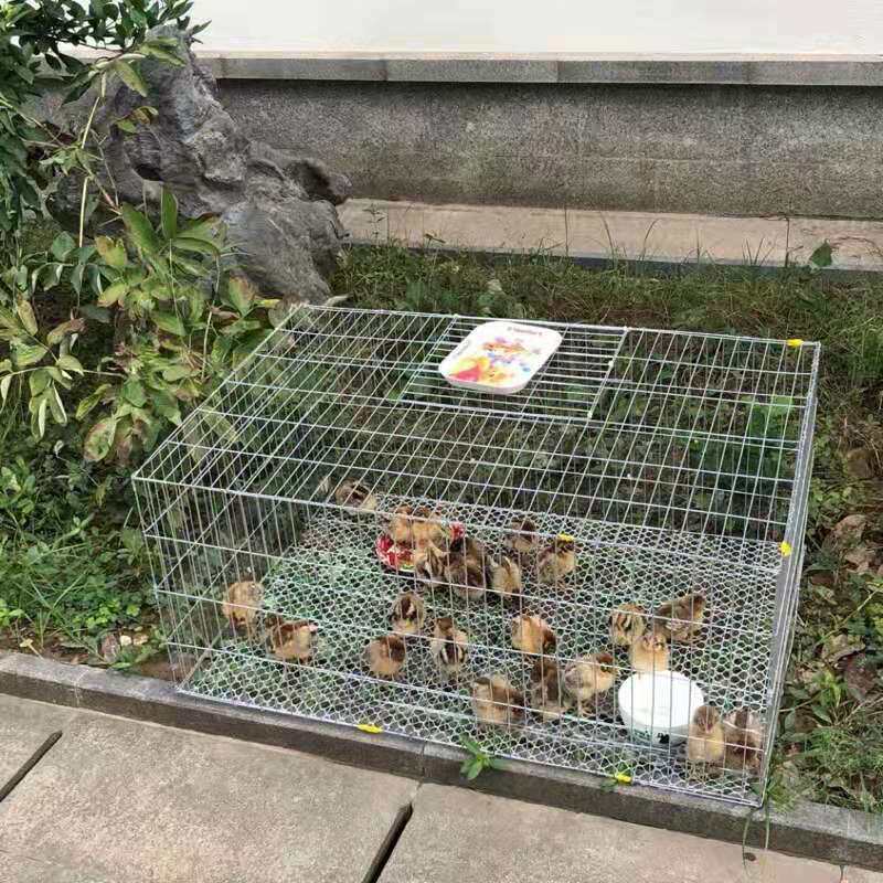 Bird cage metal bird cage pigeon similarly bird cage parrot cage cage rabbit cage breed cage