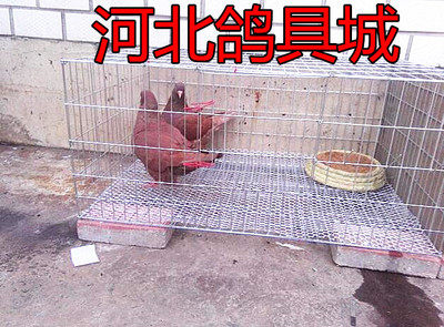 Chicken cage chicken cage chicken cage rabbit cage rabbit cage home large breeding cage brooding rabbit cage