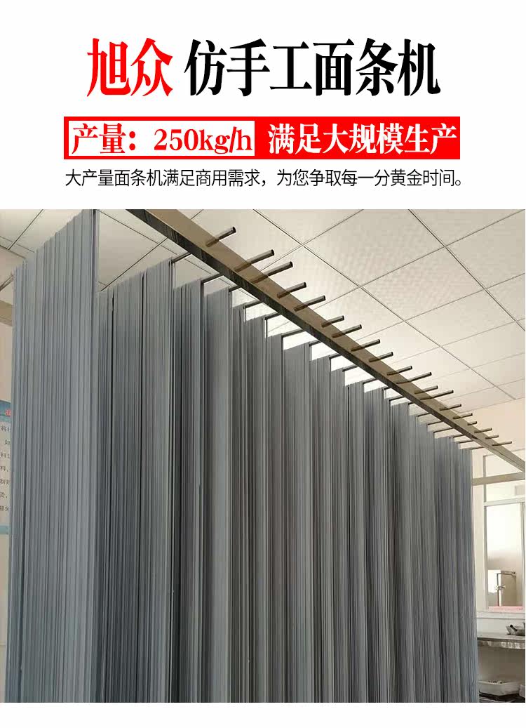 XZ5-260 BAR MACHINE (лапша или мокрая лапша) Подробности Page_05.jpg
