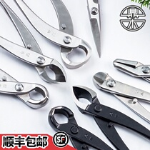 Dingwood bonsai trimming and Styling Special tool ball joint scissors leaf bud scissors branch shears broken rod pliers set