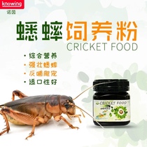 Nuoyin cricket feeding powder cricket nutritional powder Dubia mealworm grain feed supplement mineral vitamins